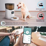 Automatic Pet Feeder